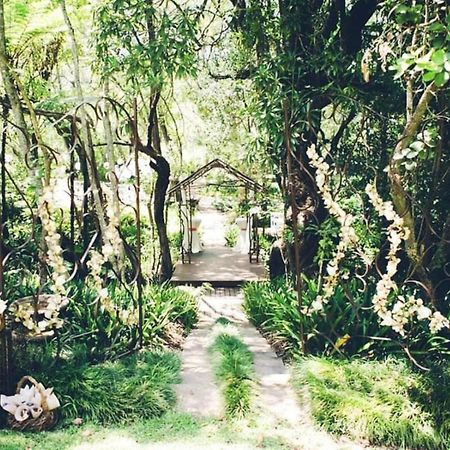 Waterbessiebos Cottage ซานีน ภายนอก รูปภาพ