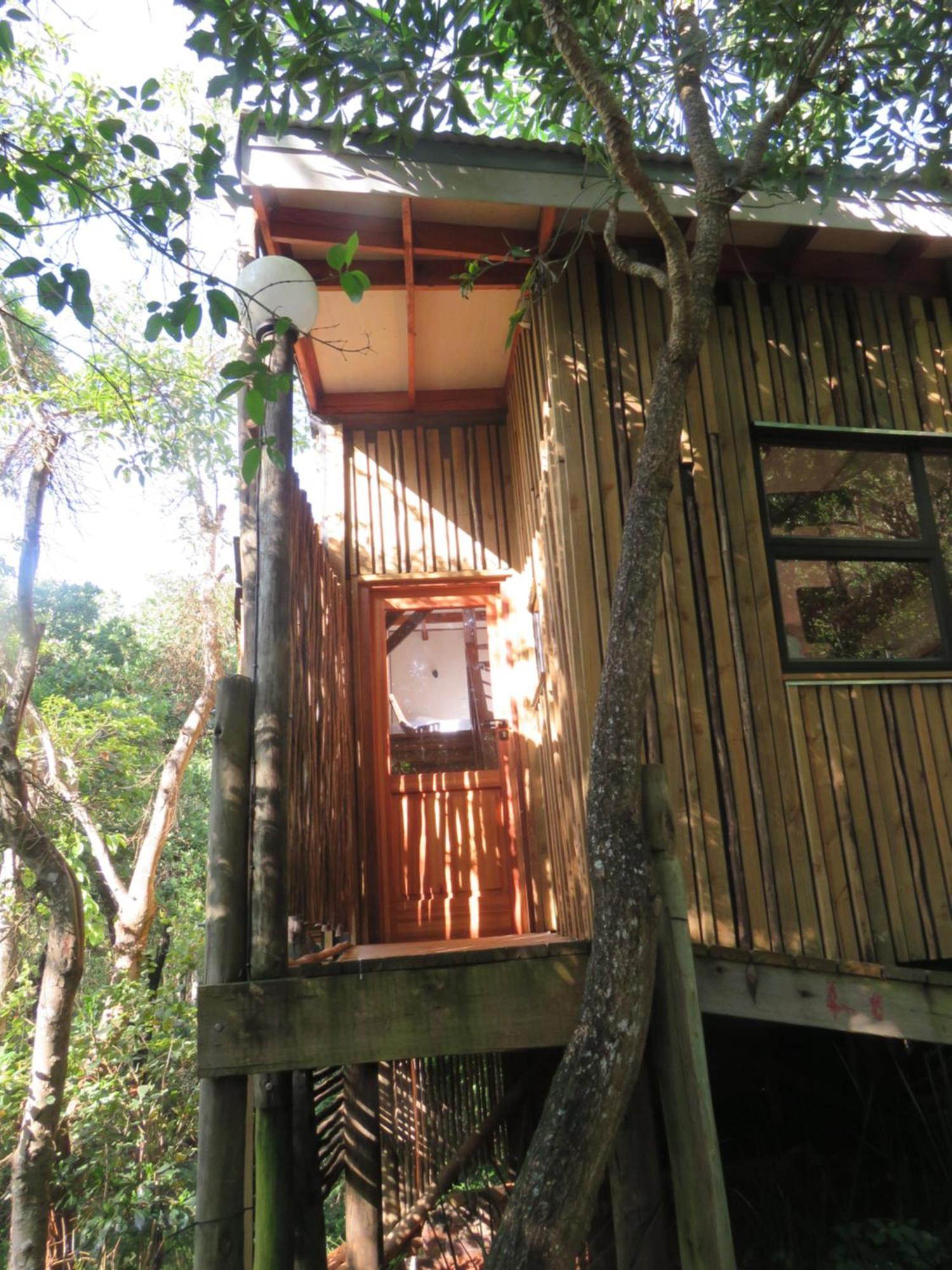 Waterbessiebos Cottage ซานีน ภายนอก รูปภาพ