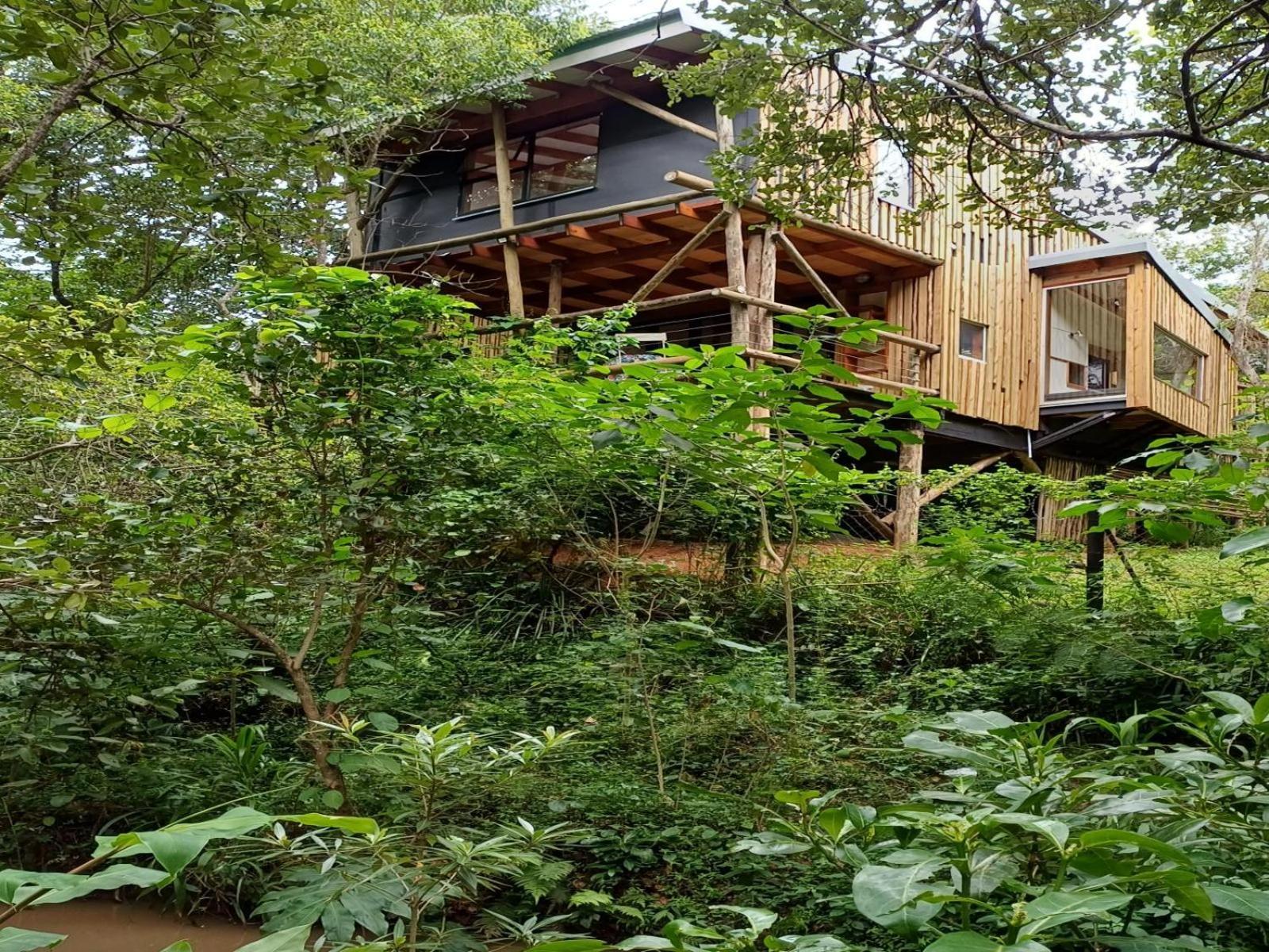Waterbessiebos Cottage ซานีน ห้อง รูปภาพ