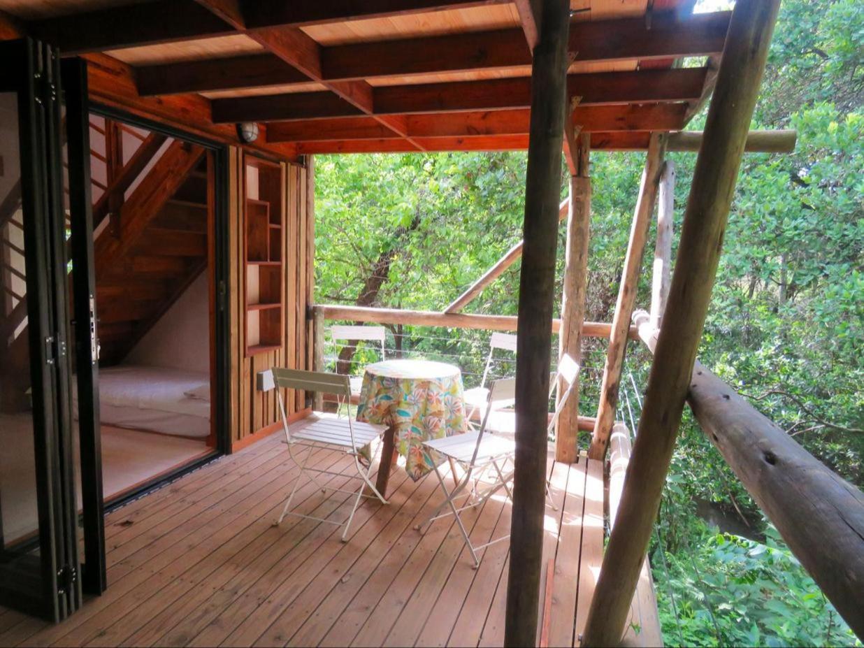 Waterbessiebos Cottage ซานีน ห้อง รูปภาพ