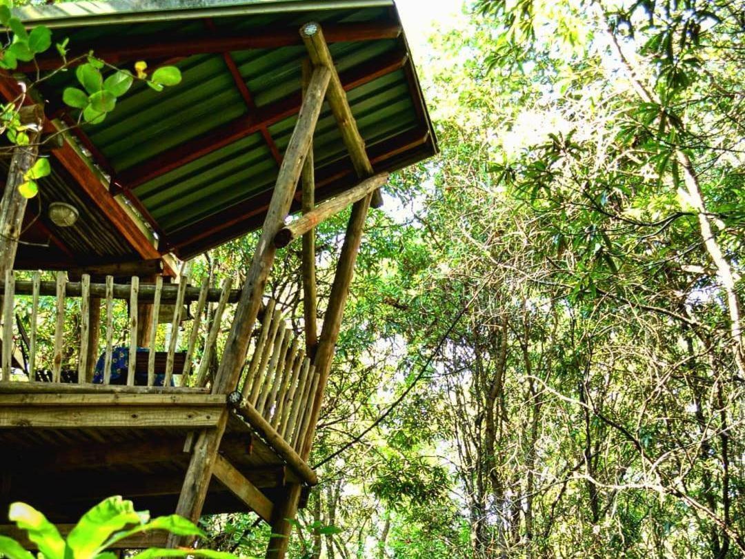 Waterbessiebos Cottage ซานีน ภายนอก รูปภาพ