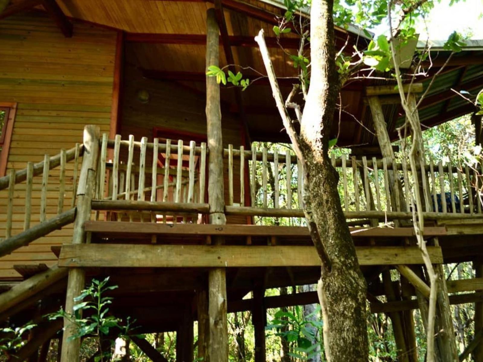 Waterbessiebos Cottage ซานีน ภายนอก รูปภาพ