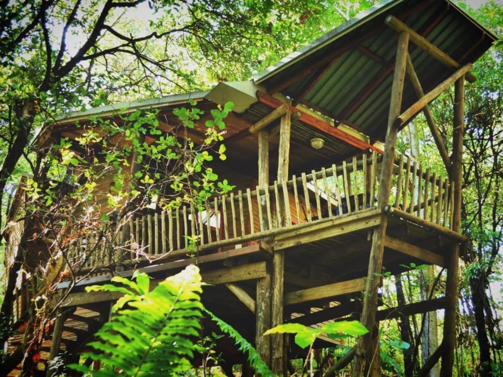 Waterbessiebos Cottage ซานีน ภายนอก รูปภาพ